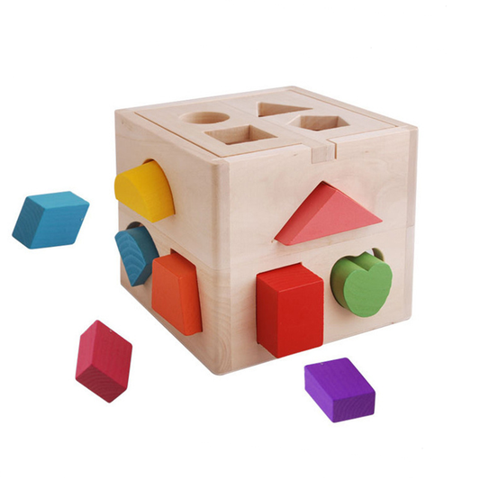 Montessori Wooden Toy for Toddler Children Kids Matching Game